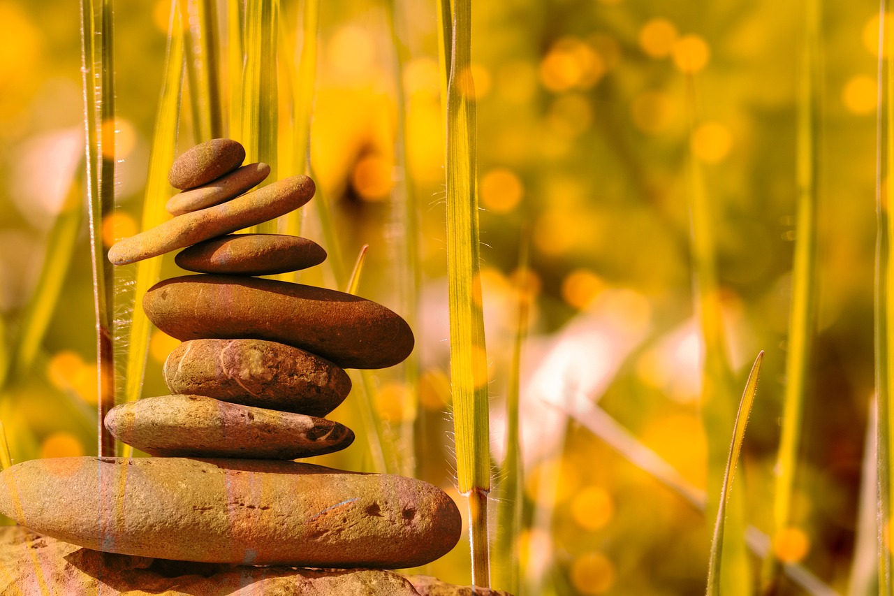 life coaching, yoga, meditation, on line